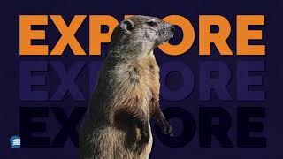 Explore! Groundhogs