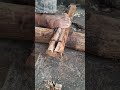 fire saw using palm frond fireboard #primitivefire #traditionalfire