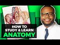 How to Study & Learn Anatomy (Part II) | Preparing for Surgeries as an Attending