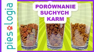 Porównanie składu suchych karm dla psa