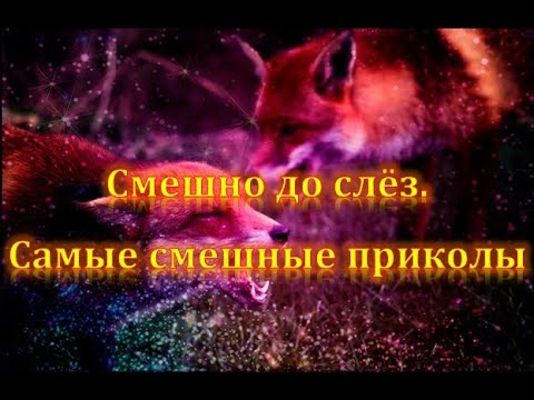 Смешные видео истории. Юмор и приколы.