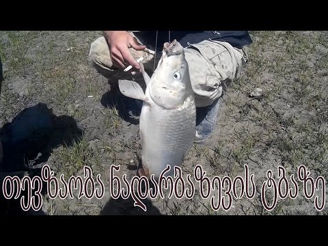 თევზაობა ნადარბაზევის ტბაზე