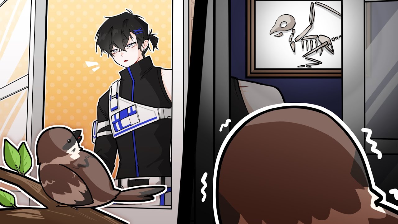 잘 못 들어온 참새