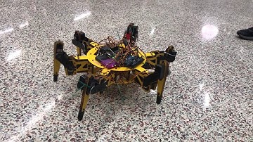 Hexapod Project