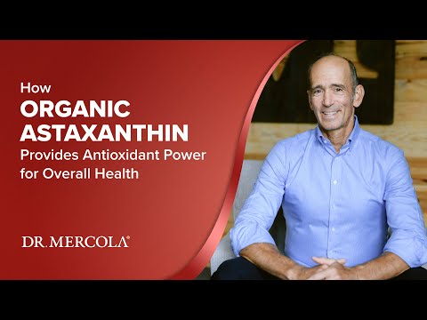 วีดีโอ: Astaxanthin For Dogs: The Powerhouse Super-Nutrient ที่ทุกคนกำลังพูดถึง