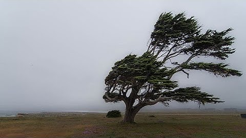 How To Create Wind With Synth