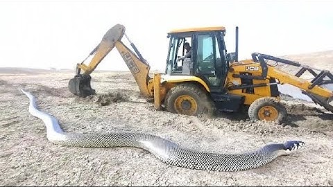 JCB 3dx Backhoe Loader Machine Loading Mud In Mahindra 475 Di Tractor and Stuck in Mud Jcb Video