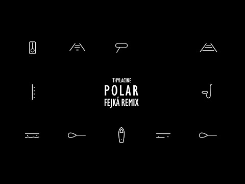 Thylacine Polar&#x20;&#x28;Fejk&#x00E1;&#x20;Remix&#x29; Artwork