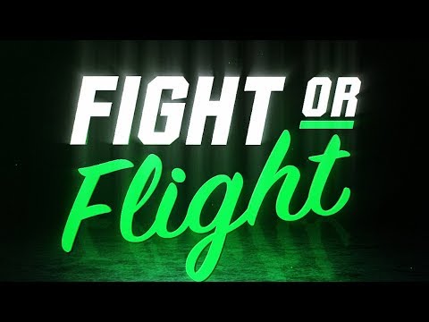 Full Card For FIGHT OR FLIGHT In Sheffield
