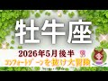 【おうし座5月後半🎁】コンフォートゾーンを抜け大冒険🏵️現実が動きだす🚀モヤモヤスッキリ✨
