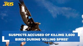 Suspects accused of killing 3,600 birds during yearlong 'killing spree'