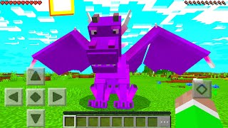 Minecraft PE : PET DRAGON MOD in Minecraft Pocket Edition screenshot 5
