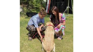 crush ft. joy - mayday