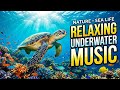 Tranquil Ocean Dreams 🌊 • Soothing Relaxation Music for Sleep 😴 • Gentle Night Waves ✨