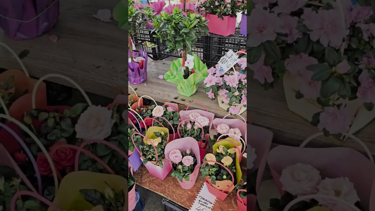 🌷 „Plimbare prin piață de 8 Martie – Flori, legume și multă lume”