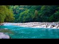 Beautiful Mountain River Flowing Sound. Forest River, Relaxing Nature Sounds  Sleep