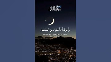 #قرآن_كريم #محمد_صديق_المنشاوي #تلاوة_خاشعة #اكسبلور #راحة_نفسية #follow #فلسطين