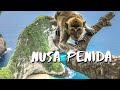 Visiter nusa penida pour la 1re fois  raies mantas  plages de rve  vlog voyage bali indonsie