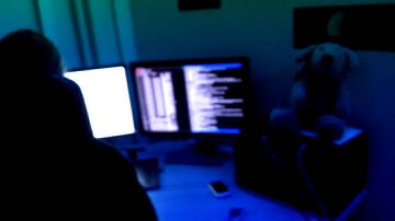 Lehikoinen ja Hevoset: Perikuntansa kuudes strobo bootleg