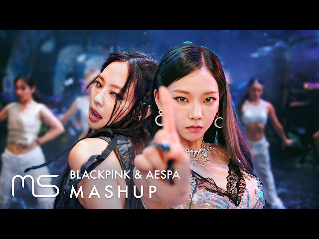 BLACKPINK x AESPA – Pink Venom / Black Mamba MASHUP (feat. Next Level) class=