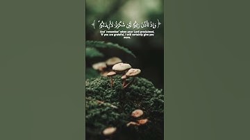 الآية "وإذ تأذن ربكم لإن شكرتم..."بصوت الخليل #القرآن_الكريم