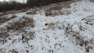Indiana Club Quail Hunt - January 2023 Indiana Quail Season
