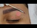 Microblading Process step by step