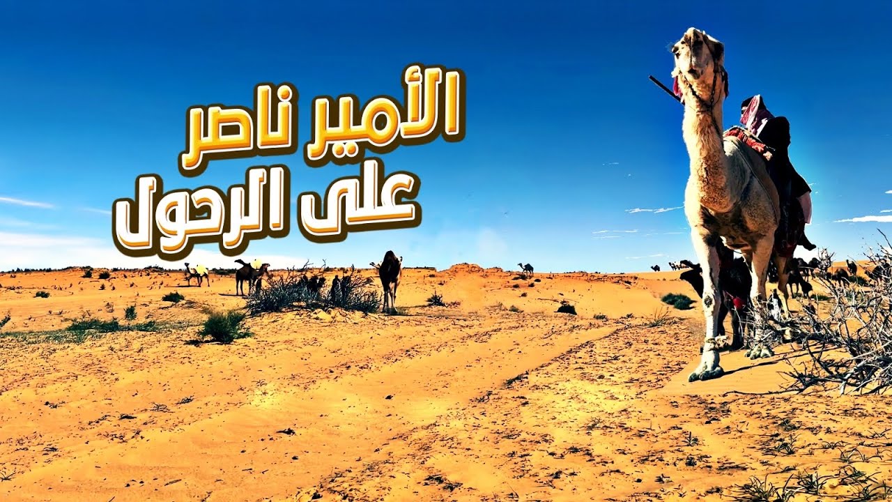 متعة ركوب الرحول عند الابل ❤️