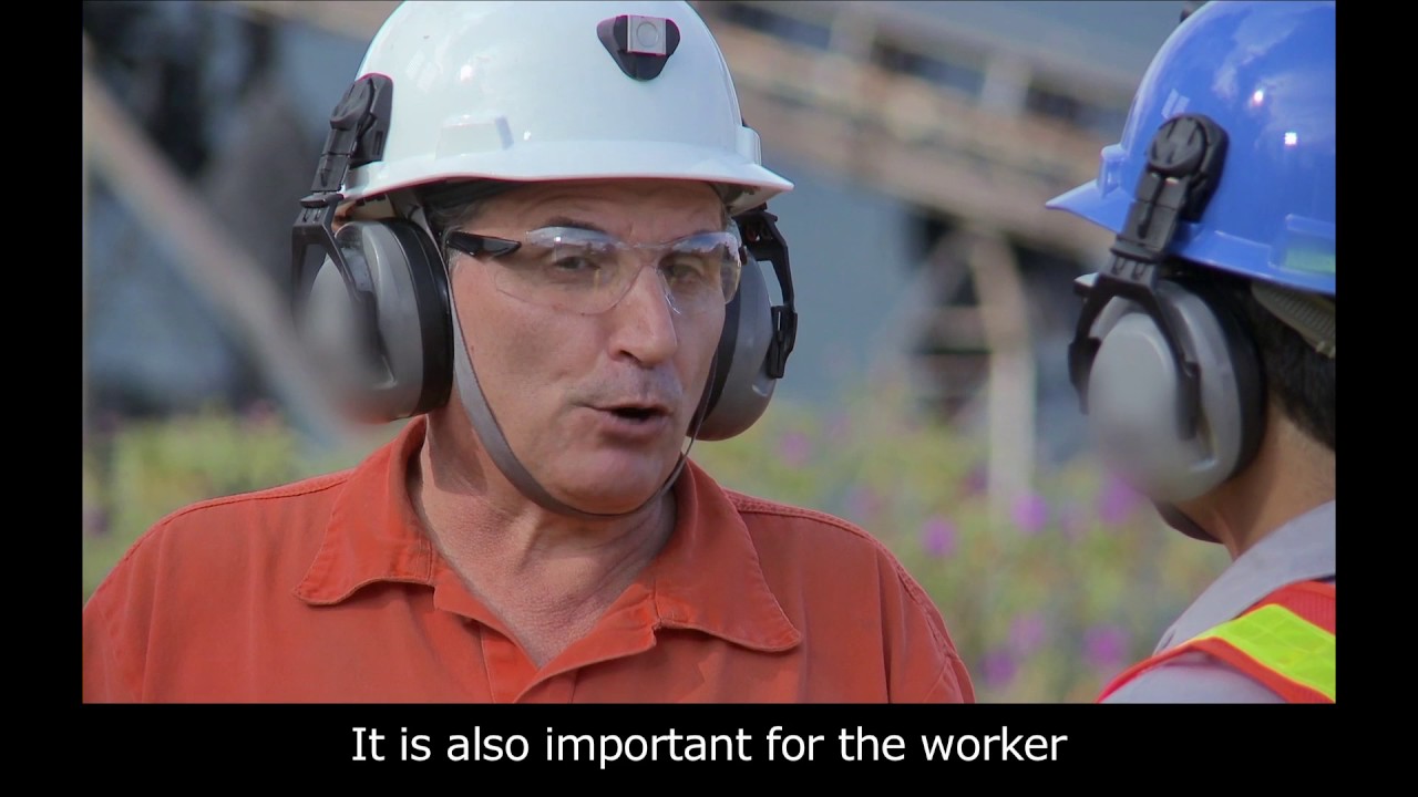 Série 100 Seguro SESI Mineração Transporte Manual de Cargas