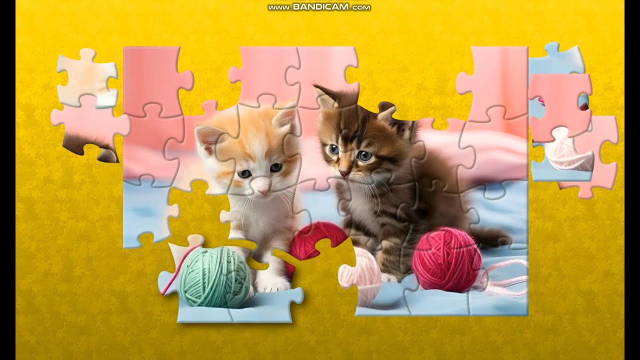 puzzle 918 two kittens