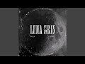 Luna gris