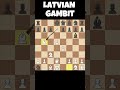 💀LATVIAN GAMBIT♟️ #shorts #chess