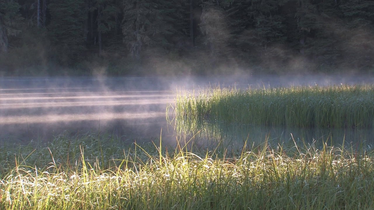 Fog Rising From Mountain Lake Relaxing Scene and Sound: 1080p HD - YouTube