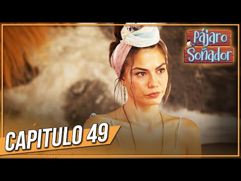 Pájaro soñador -
