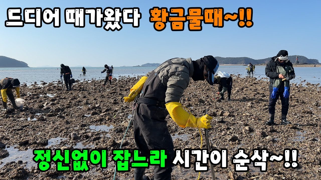 드디어 때가왔다 황금물때~!! 정신없이 잡느라 시간이 순삭~!!