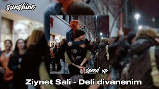 Ziynet Sali - Deli divanenim (speed up )