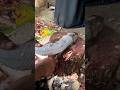 Mrigal Carp Fish Cutting 😍 Viral Knife Skills #shorts