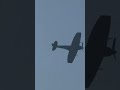 Clipped wing Spitfire 🤔😍 #warbird #warbirds #aviation #ww2 #spitfire