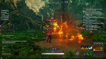 New World Monoecious Tuning Orb - 5 Fire Staves, No Heals, No Tank