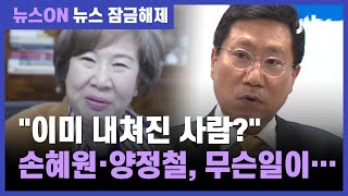 손혜원 "양정철, 너무 교활…비서실장 안한 게 아니라 못한 것" / JTBC 뉴스ON