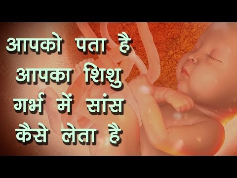 वीडियो: गर्भ में बच्चा कैसे सांस लेता है