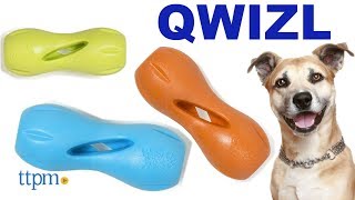 QWIZL Chew Toy from West Paw Design