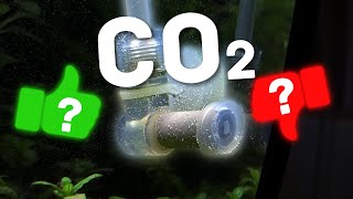 Do You Really Need CO2 to Grow Aquarium Plants?🤔