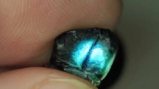 Natural Blue Sapphire Rough 5.90Cts