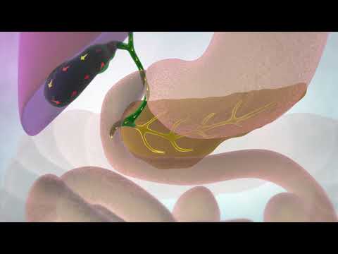 The gallbladder and bile ducts | Cancer Research UK