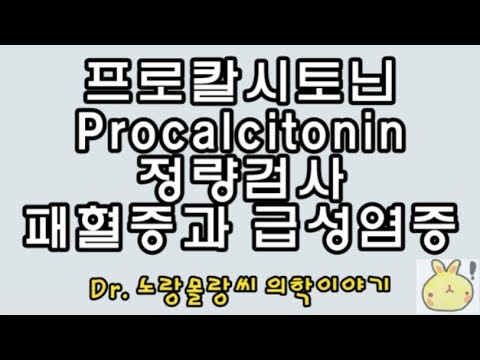 Procalcitonin(프로칼시토닌, PCT) 정량검사