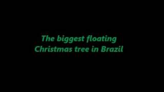 Pohon Natal