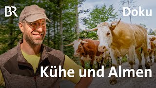Von Kühen und Almen | Die Holzknechte 2/7 | Bergmenschen | Doku | BR | Bergbauern | Landwirtschaft