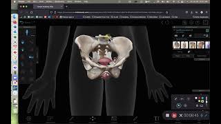 BIOL 314 Lab Exercise 42 Anatomy of the Female Reproductive System