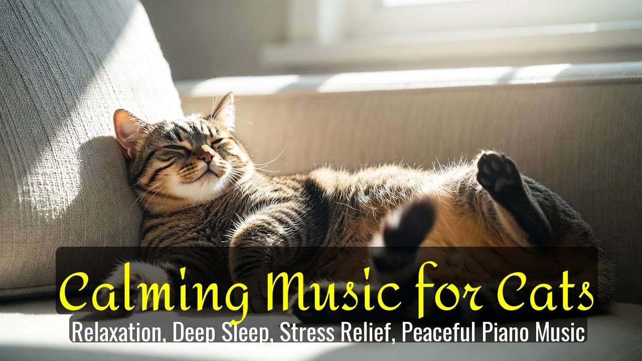 Calming Music for Cats - Relaxation, Deep Sleep, Stress Relief, Peaceful Piano Music | Season 72